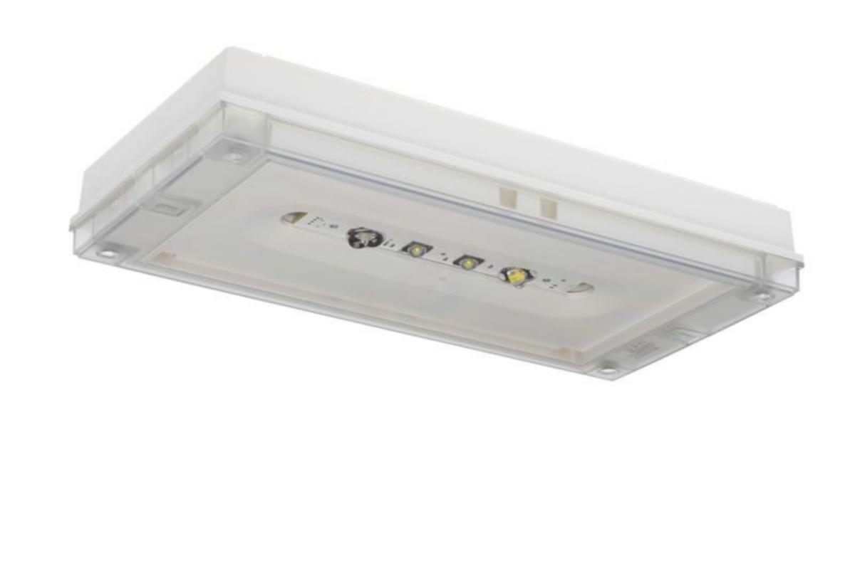 Nödljusarmatur Teknoware Solid Zone Lowbay - NÖDLJUSARMATUR TWT3241WK 24V IP65