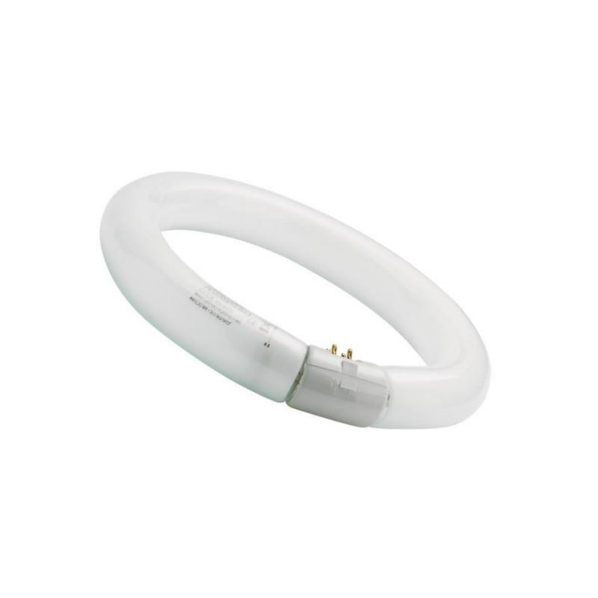 Cirkellysrör T9 Sylvania Circleline - RINGNEONLAMPA FC22/840