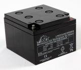 Gelbatteri för elektriska rullstolar/mopeder Leoch
