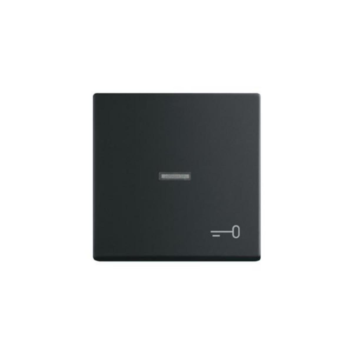 Vippa ABB Impressivo klar lins o nyckel symbol - VIPPTRYCK IMPRESSIVO 1/IP21 LI "NYCKEL" SVART MATT