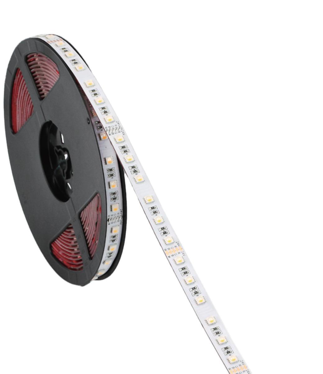 LEDstrip FTLight - LED-STRIP LED STRIP RGBW 12W/M IP20