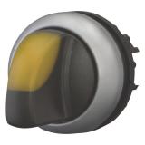 Vred med belysning RMQ-Titan, Eaton