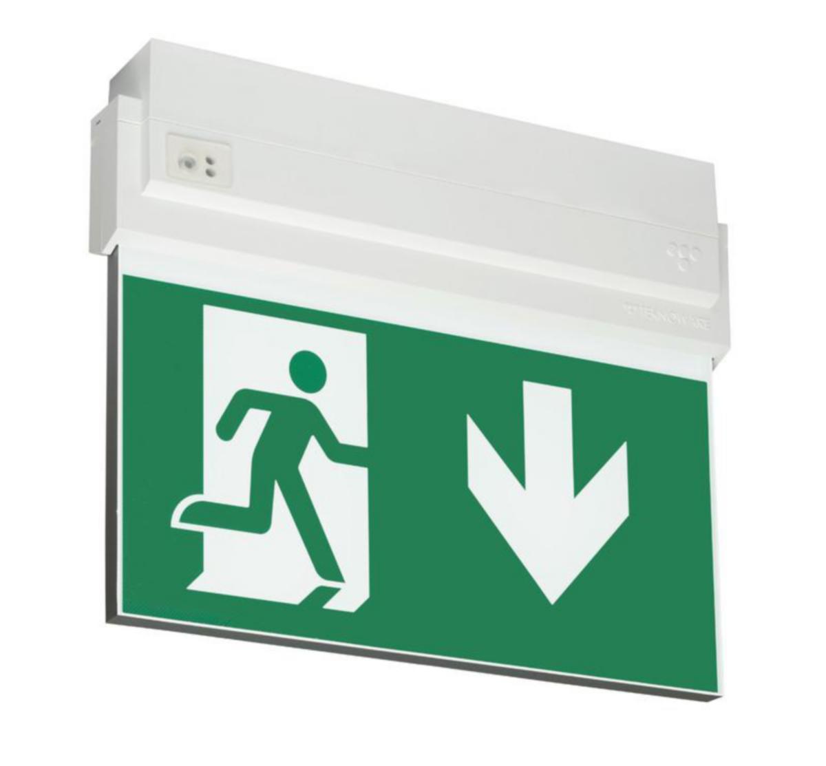 Nödutgångsarmatur Teknoware Opas 80, med piktogramset, 2-sidor, pil nedåt, 26m - EXITARMATUR TEKNOWARE OPAS 80 Y8092WM135 230V 1H 26M