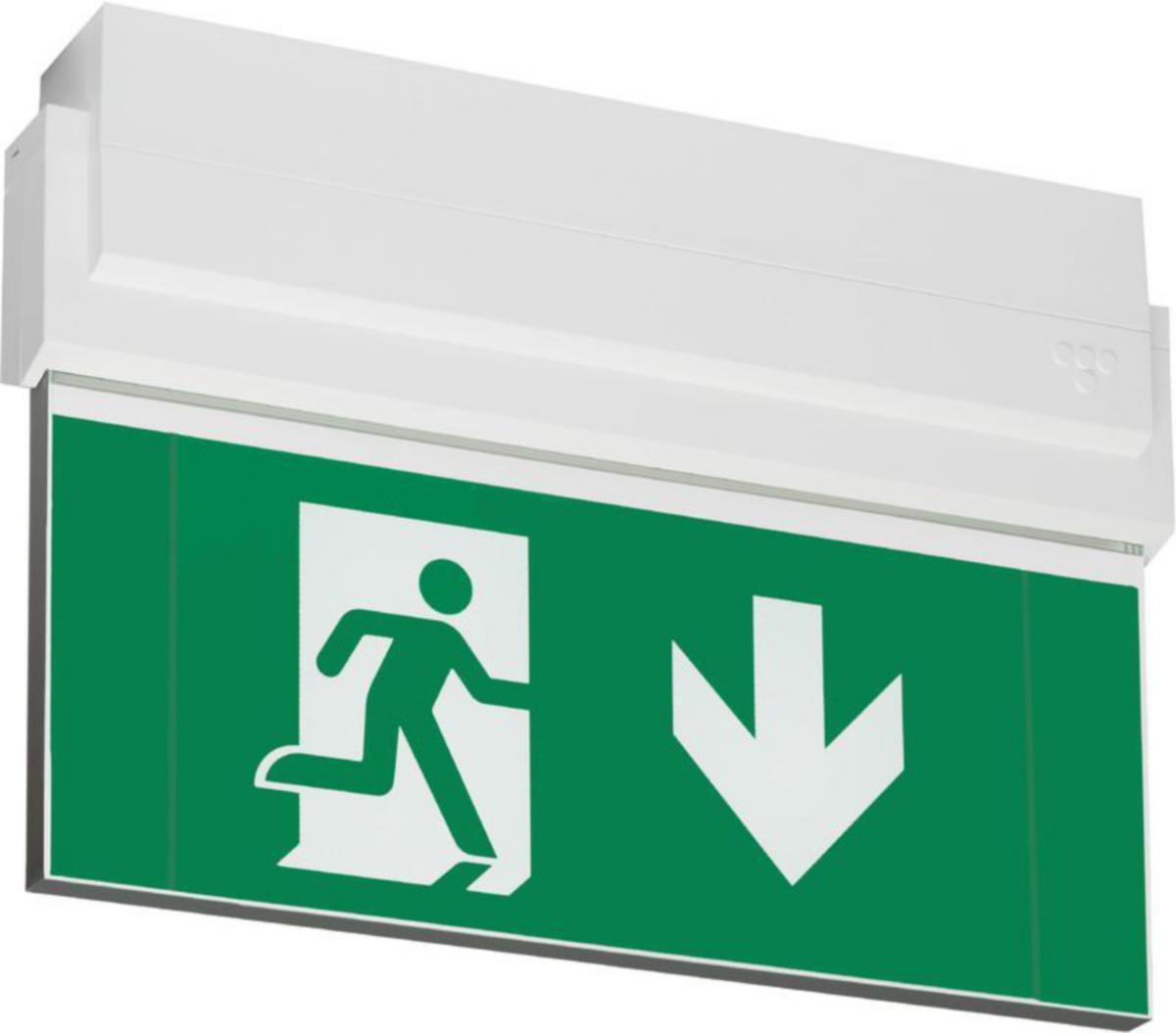 Nödutgångsarmatur Teknoware Opas 80, med piktogramset, 2-sidor, pil nedåt, 20m - EXITARMATUR TEKNOWARE OPAS 80 Y8051WK105 230V 20M