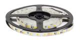 LEDstrip SAAS Highline Strip Pro Dynamic