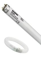 UV-lampa Sylvania Blacklight 368 Circline